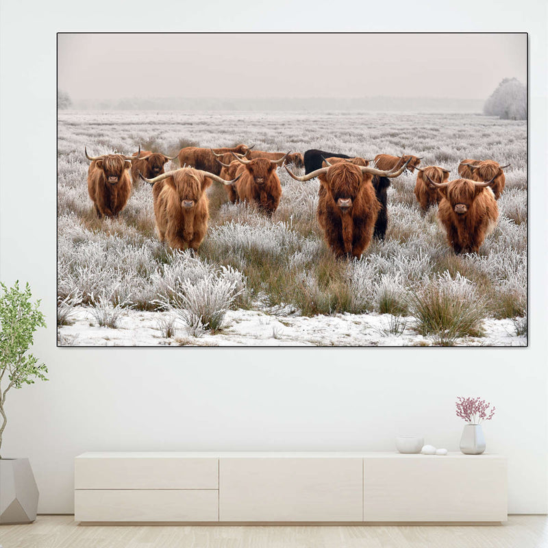Winter Highland Cows Wall Art