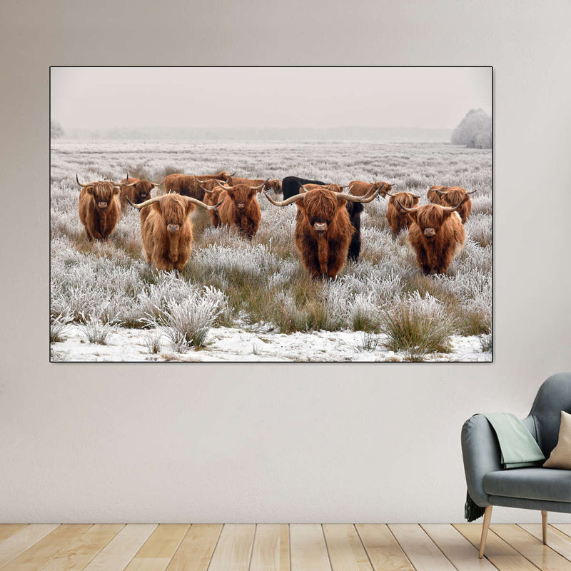 Winter Highland Cows Wall Art