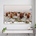 Winter Highland Cows Wall Art