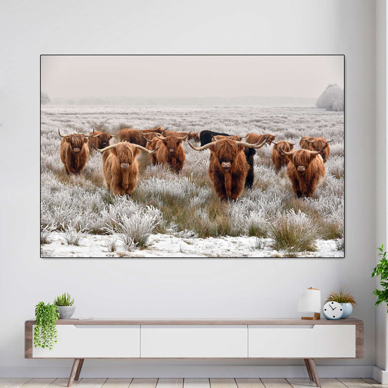 Winter Highland Cows Wall Art