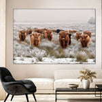 Winter Highland Cows Wall Art