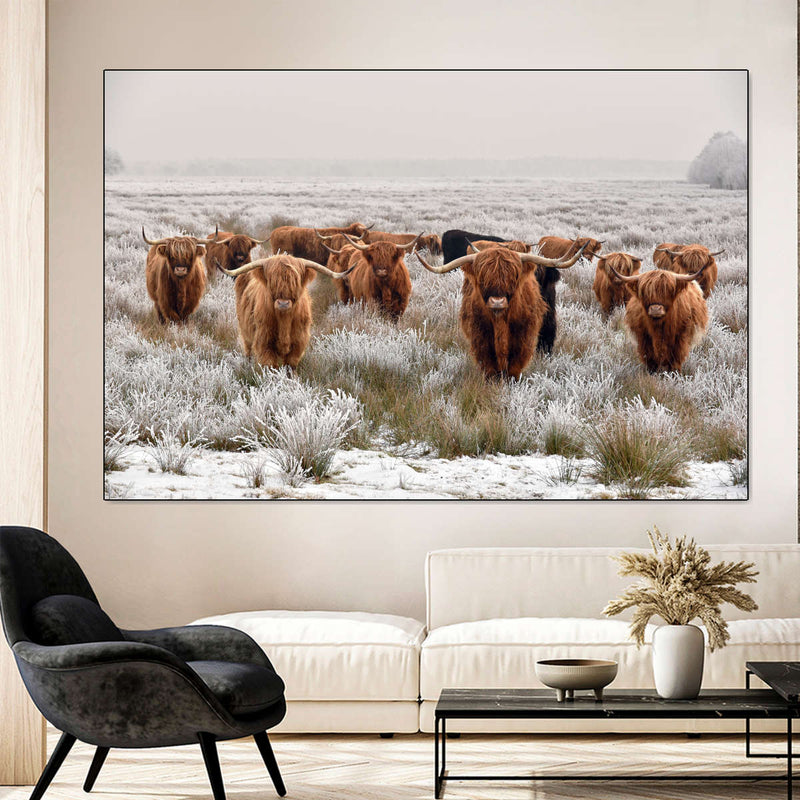 Winter Highland Cows Wall Art
