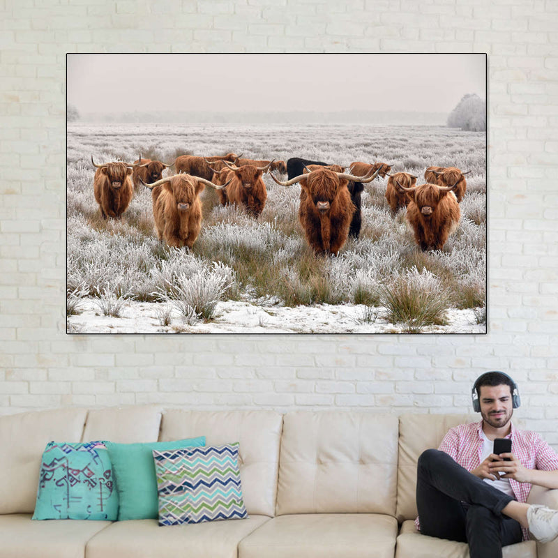 Winter Highland Cows Wall Art