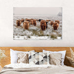 Winter Highland Cows Wall Art