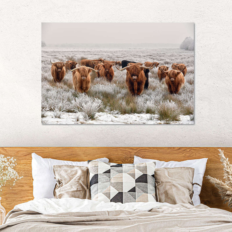 Winter Highland Cows Wall Art