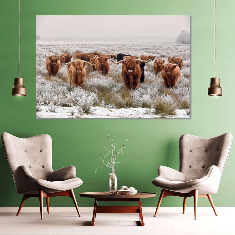 Winter Highland Cows Wall Art