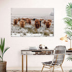 Winter Highland Cows Wall Art