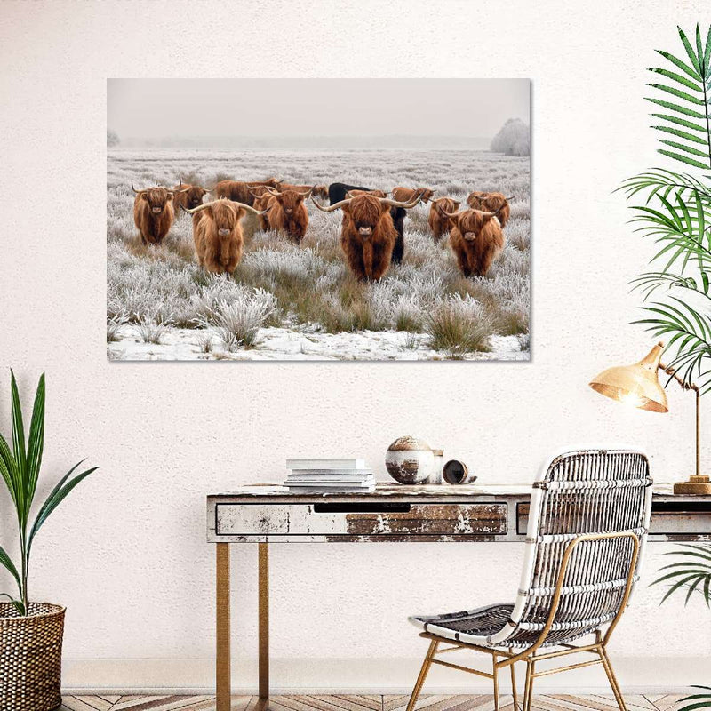 Winter Highland Cows Wall Art