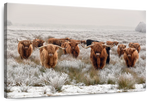 Winter Highland Cows Wall Art