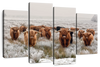 Winter Highland Cows Wall Art
