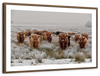 Winter Highland Cows Wall Art