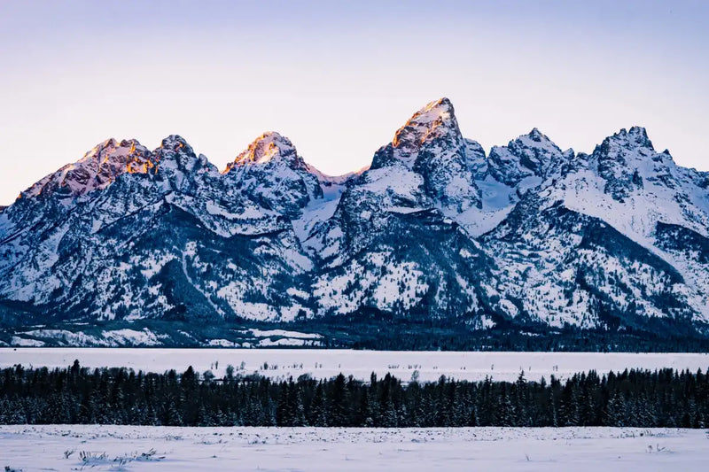 Jackson Hole Grand Teton Wall Art