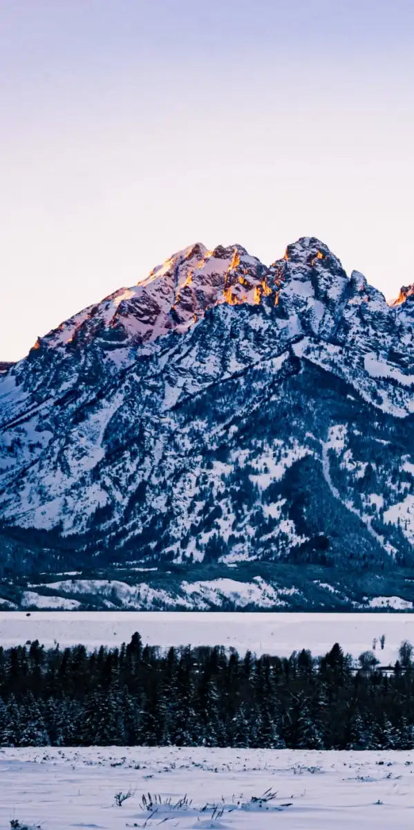 Jackson Hole Grand Teton Wall Art