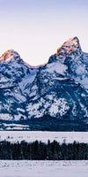 Jackson Hole Grand Teton Wall Art