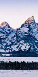 Jackson Hole Grand Teton Wall Art