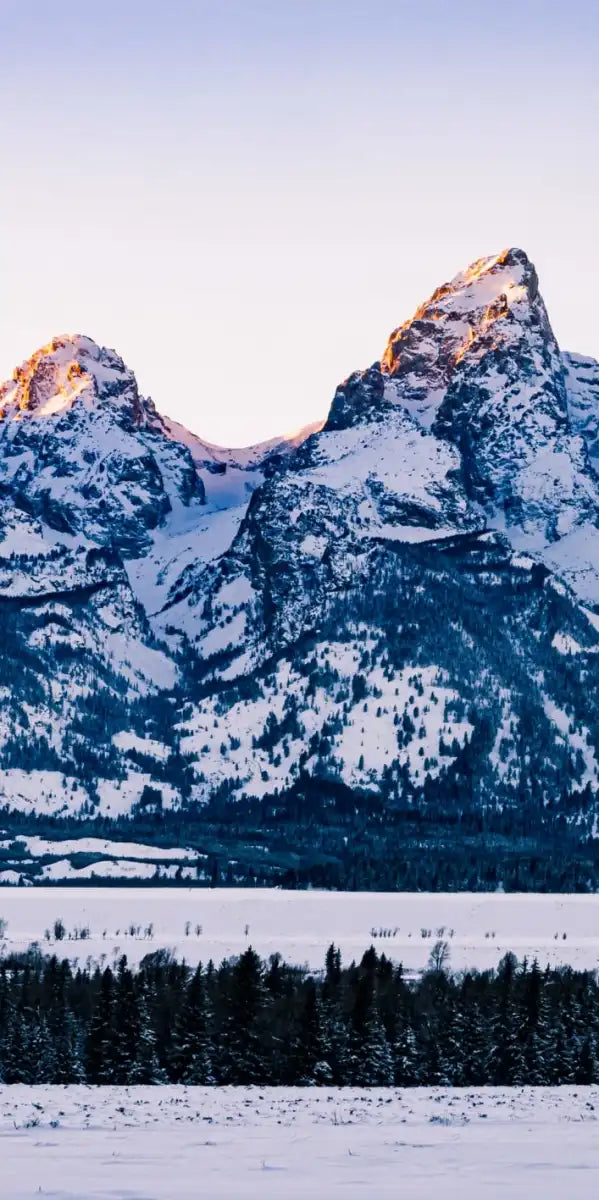 Jackson Hole Grand Teton Wall Art