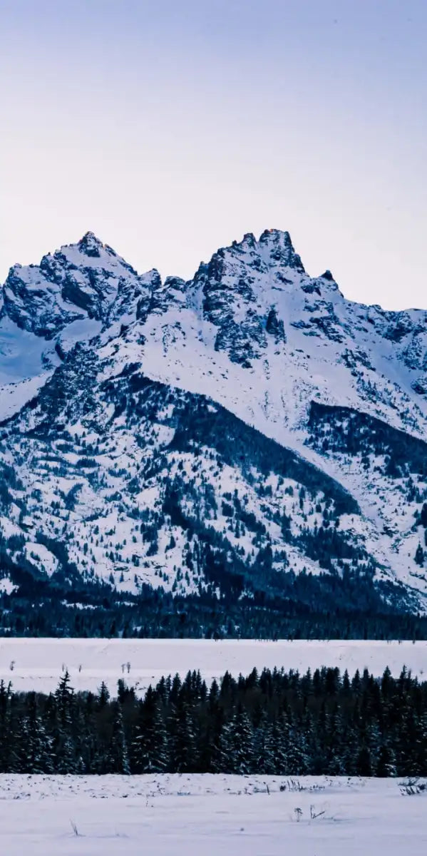 Jackson Hole Grand Teton Wall Art