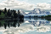 Jackson Hole Wall Art