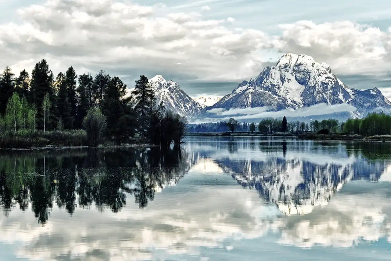 Jackson Hole Wall Art