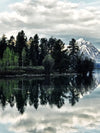 Jackson Hole Wall Art