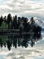 Jackson Hole Wall Art