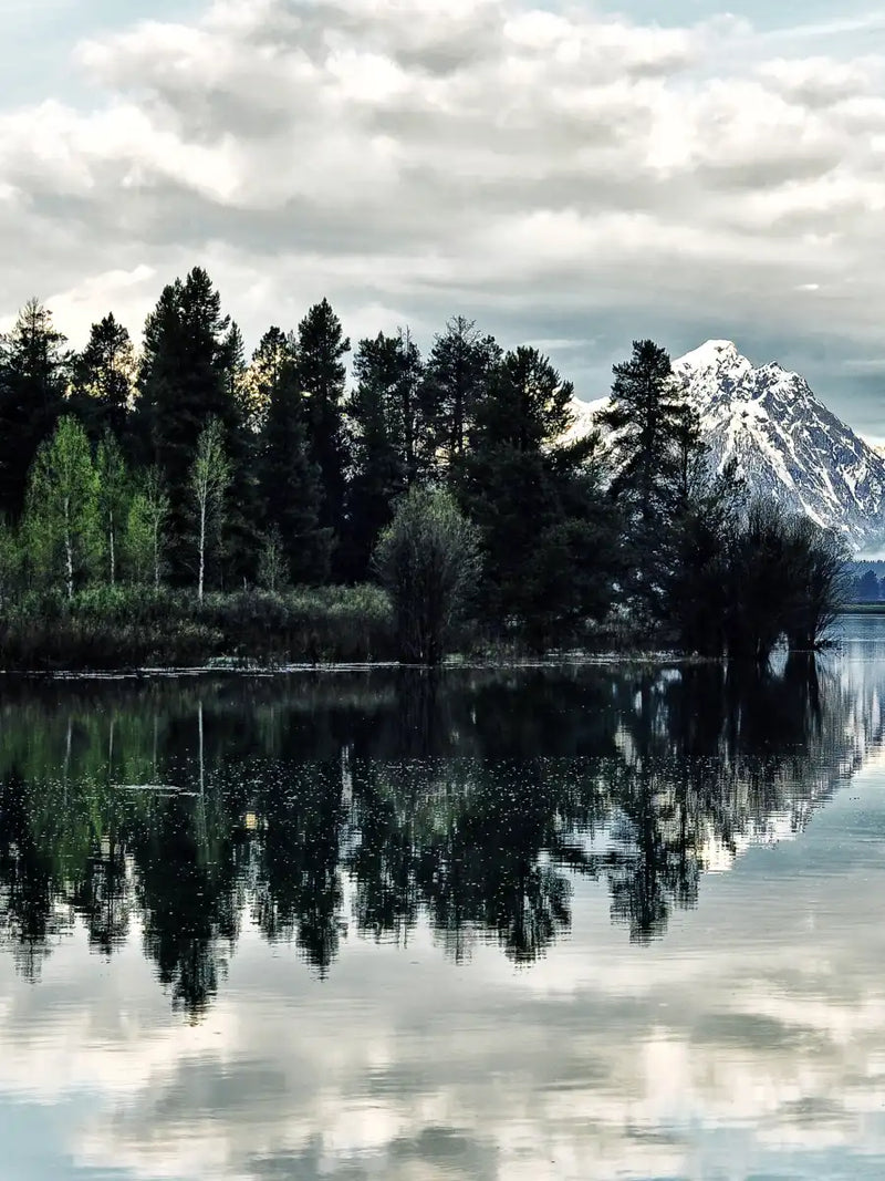 Jackson Hole Wall Art