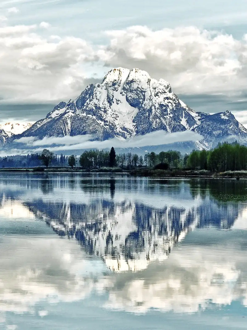 Jackson Hole Wall Art
