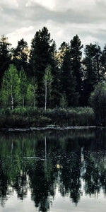 Jackson Hole Wall Art