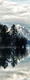Jackson Hole Wall Art
