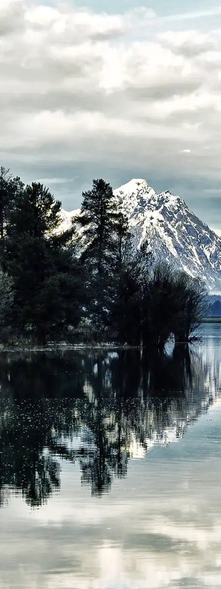 Jackson Hole Wall Art