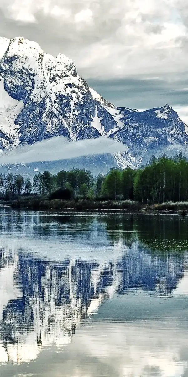 Jackson Hole Wall Art