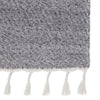 Coronado Encanto Frost Gray Rug