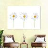 Plucked Daisies Wall Art