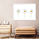 Plucked Daisies Wall Art