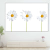 Plucked Daisies Wall Art