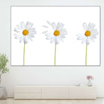 Plucked Daisies Wall Art