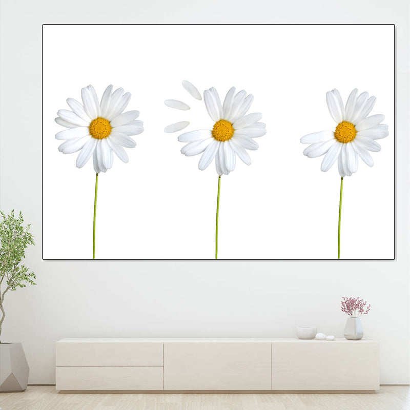 Plucked Daisies Wall Art