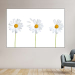 Plucked Daisies Wall Art