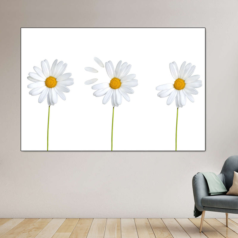 Plucked Daisies Wall Art
