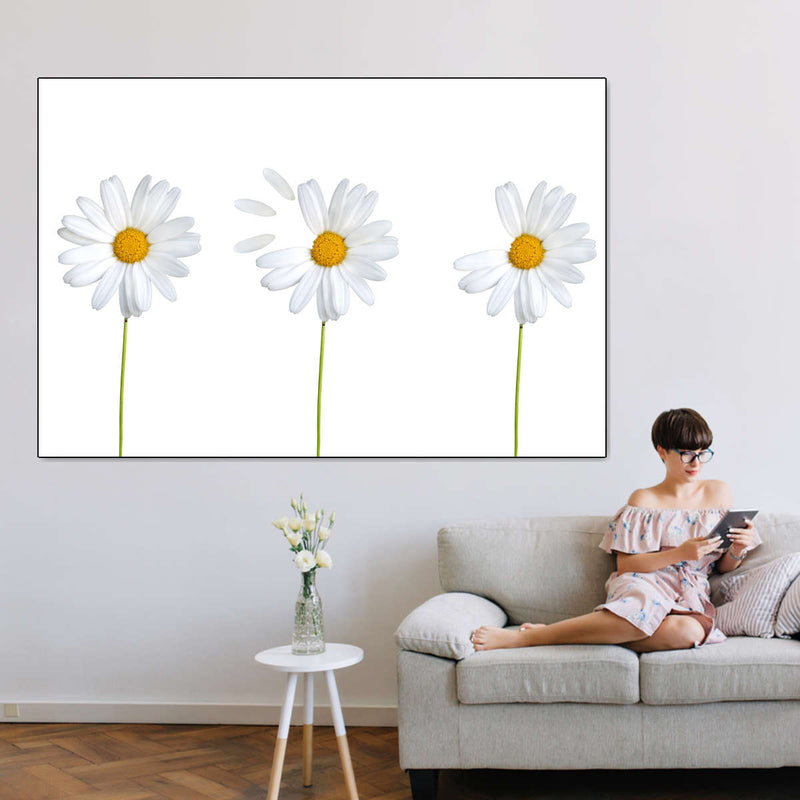 Plucked Daisies Wall Art