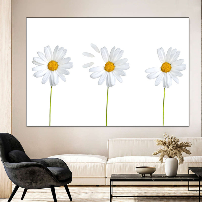 Plucked Daisies Wall Art