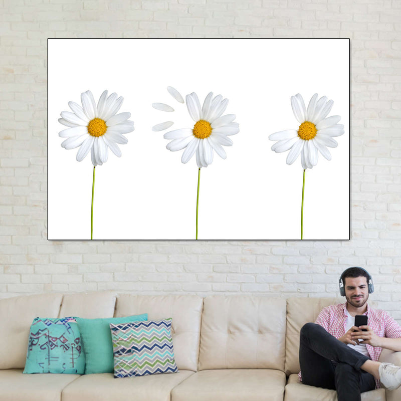 Plucked Daisies Wall Art