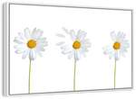 Plucked Daisies Wall Art