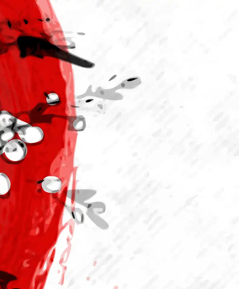 Japan Cherry Blossom Wall Art