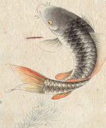 Japanese Koi Pond Wall Art