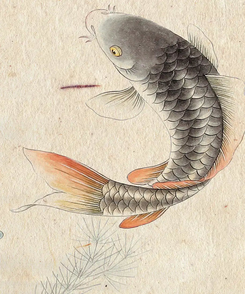 Japanese Koi Pond Wall Art