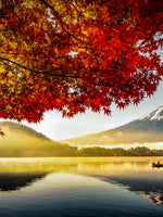 Japan's Mount Fuji Wall Art