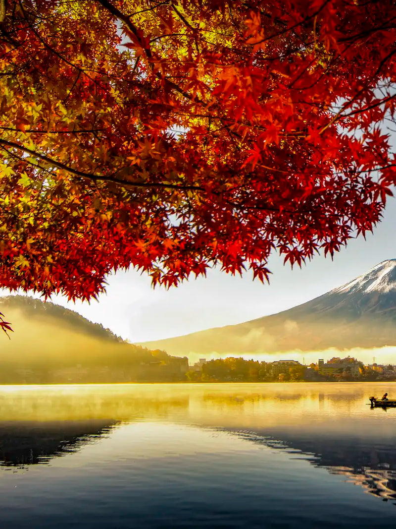 Japan's Mount Fuji Wall Art