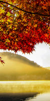 Japan's Mount Fuji Wall Art