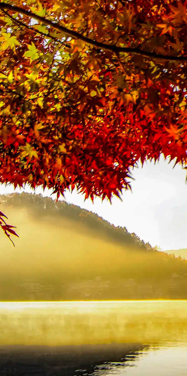 Japan's Mount Fuji Wall Art